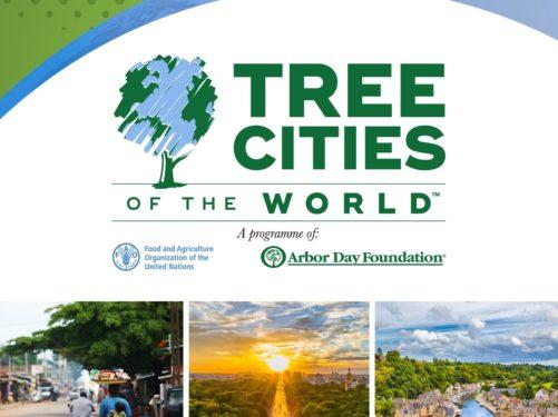 Tree City of the World
