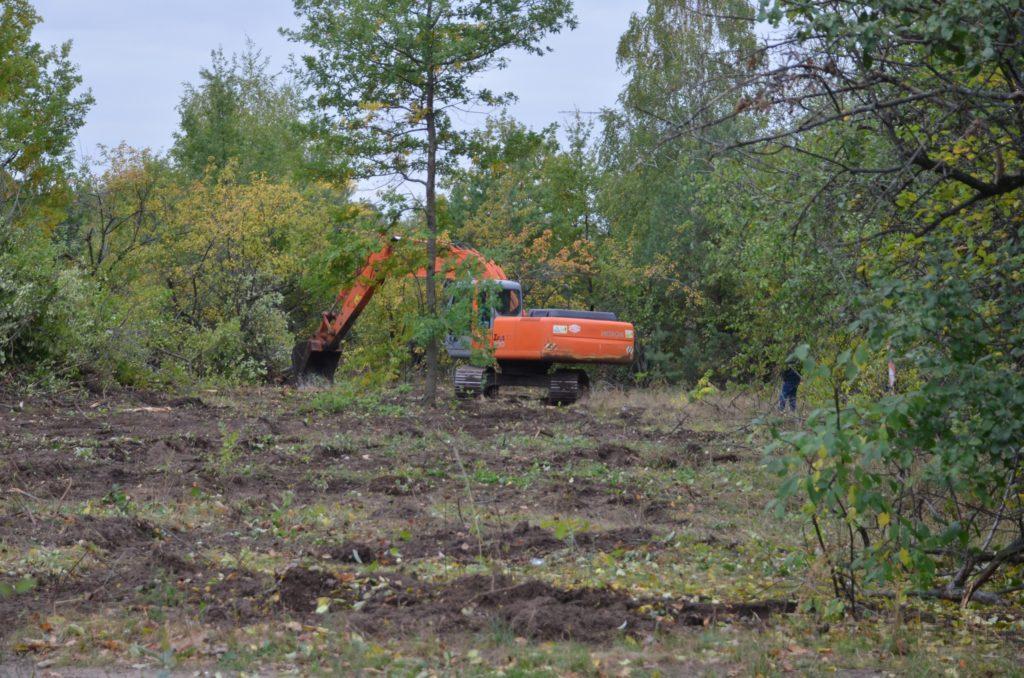 Voronezh apple garden clearing 2021