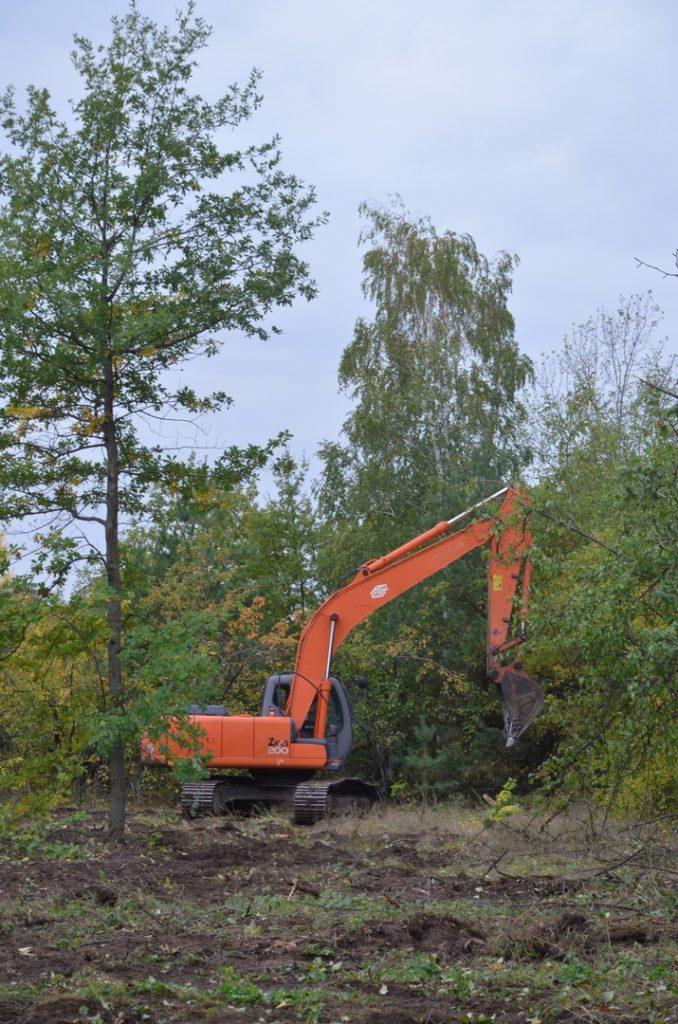 Voronezh apple garden clearing 2021