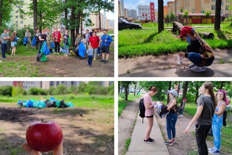 Voronezh apple orchard and volunteer day